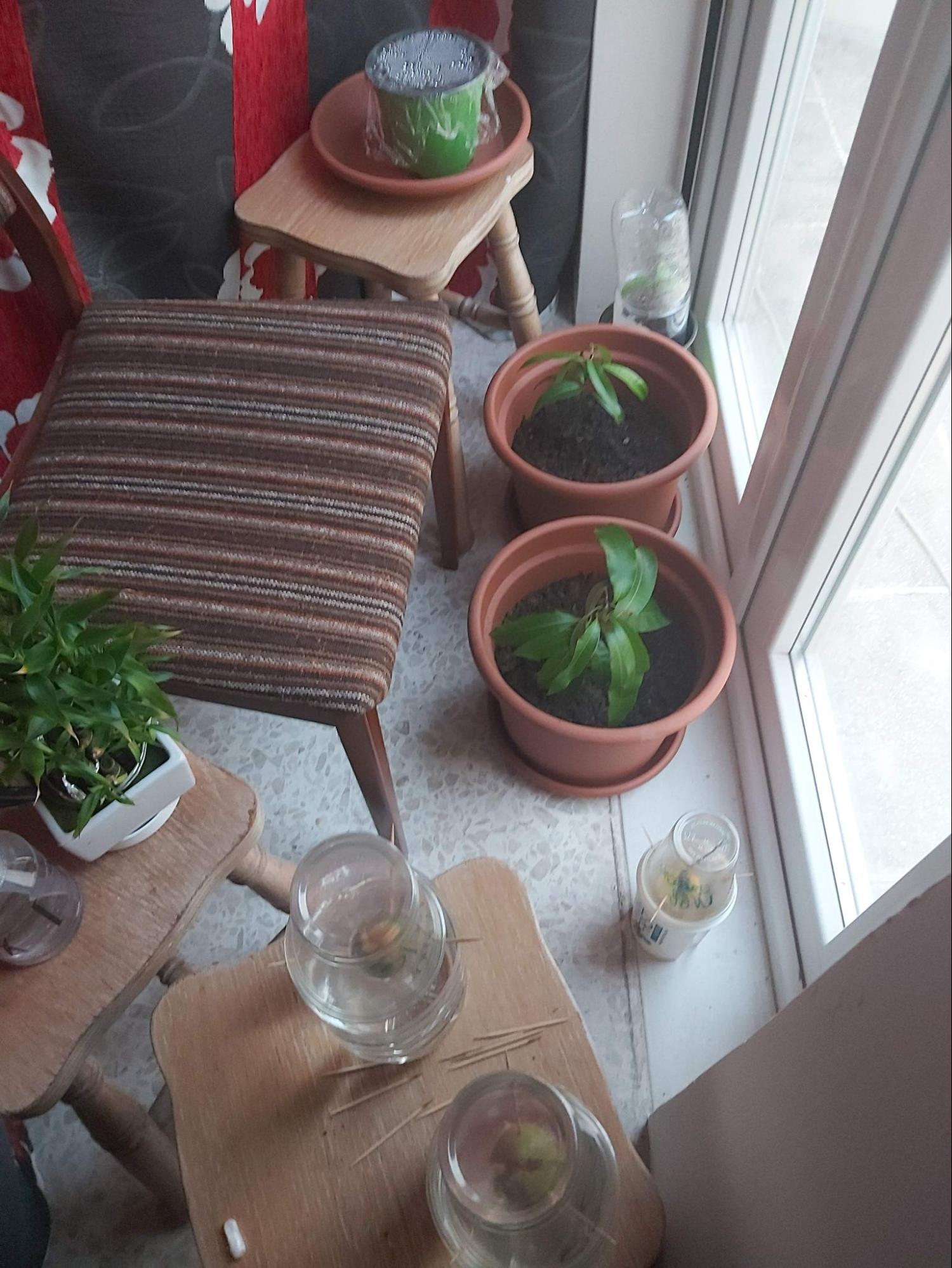 If not for sleep, this project can help you take care of plants