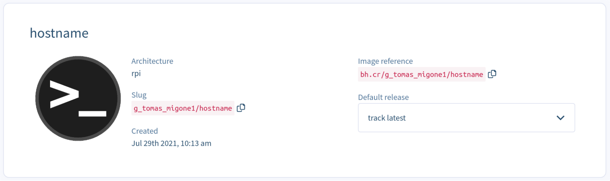 Information about a given balena block