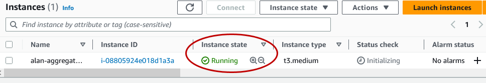 AMI running instances list