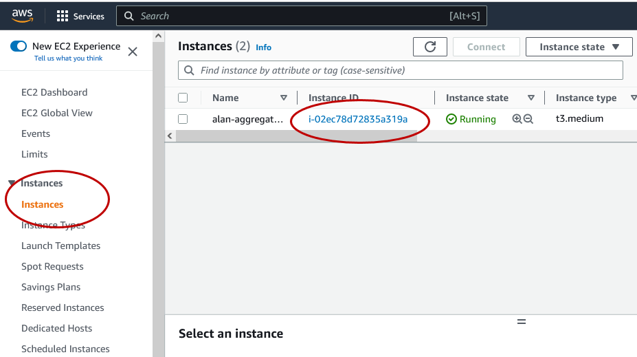 AMI instances selection