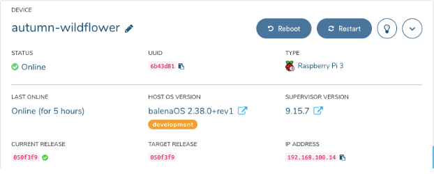 A new balena device appears!