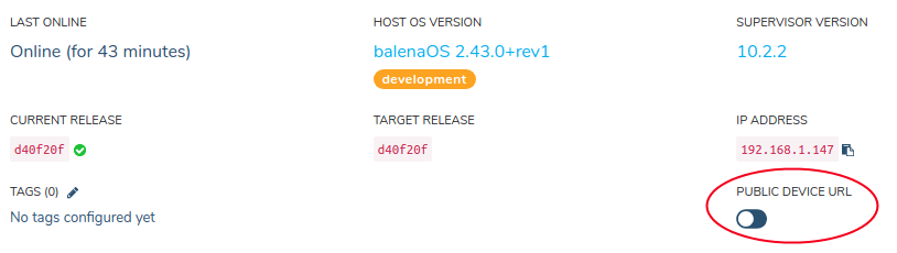 An important step is to turn on and access your device's public URL