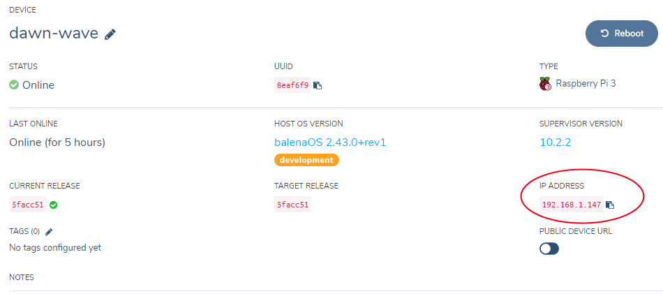 A look at device details, including local IP address