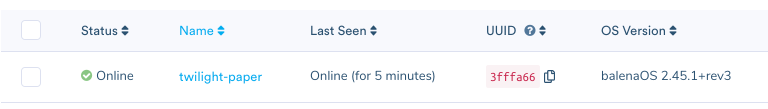 You'll see your device online on the balenaCloud dashboard
