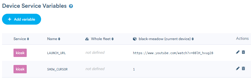 Add SHOW_CURSOR variable