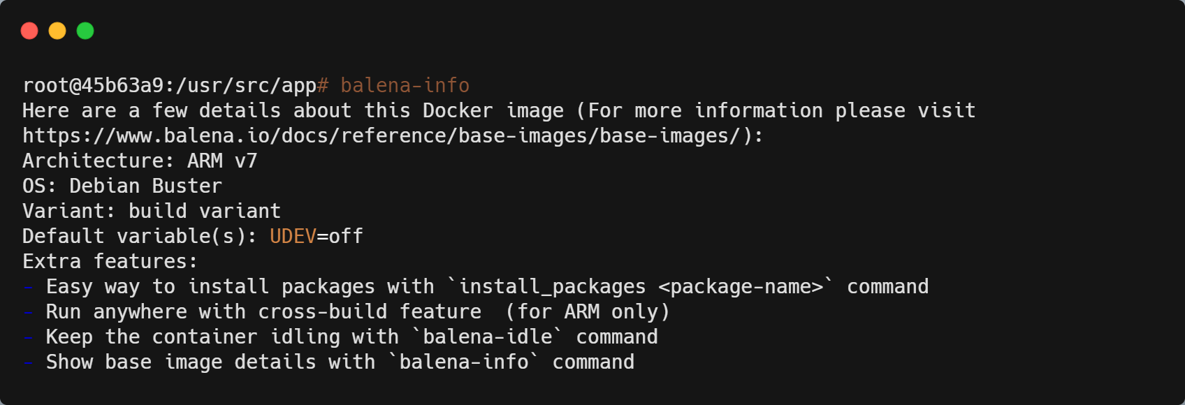 Here's an example of balena-info